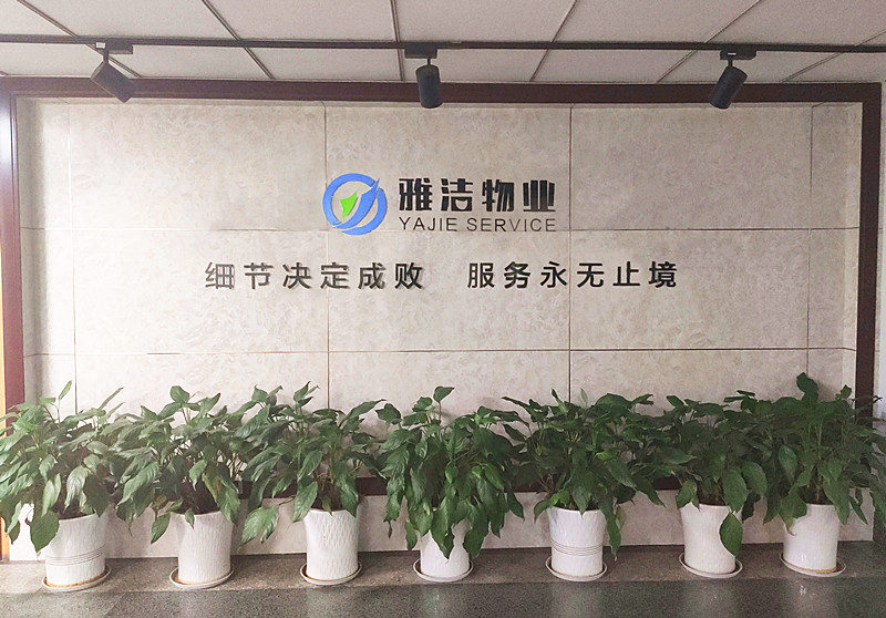 &#80;&#84;&#30495;&#20154;&#65288;&#20013;&#22269;&#65289;&#23448;&#26041;&#32593;&#31449;
